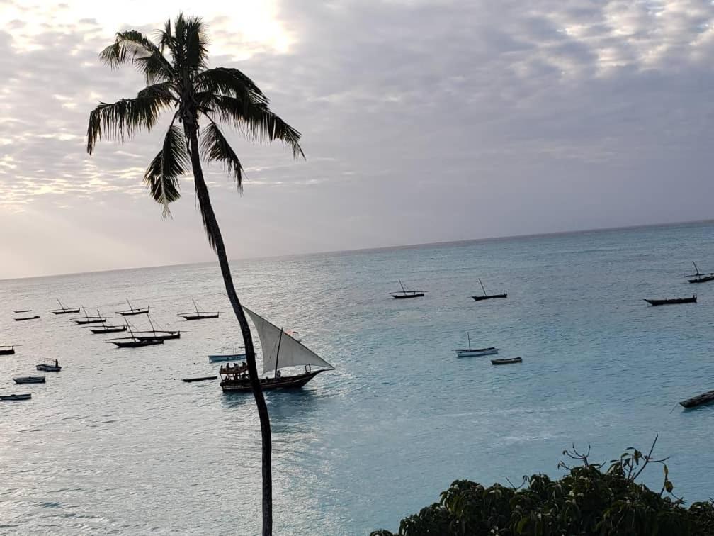 Hotell Zaina Larssons Nungwi